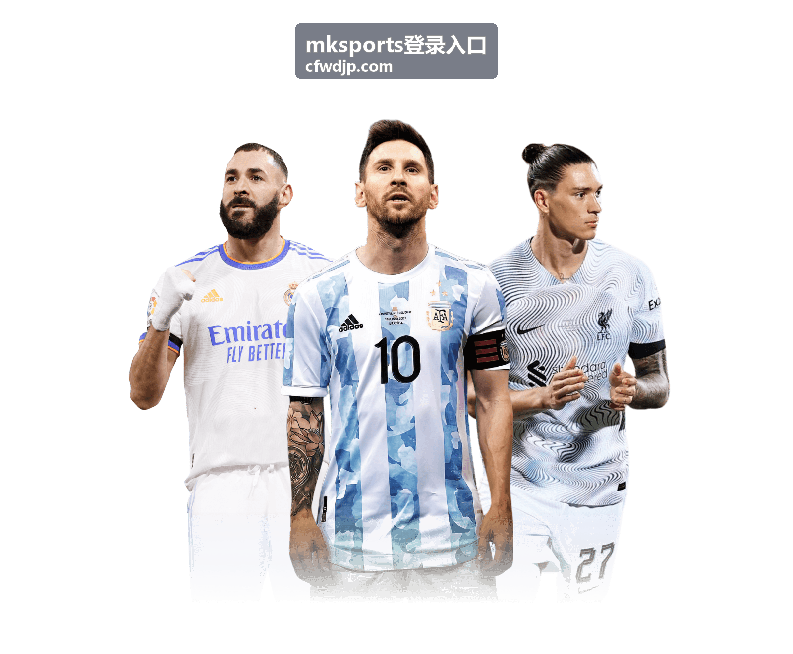 mksports登录入口进入后确认活动批次与状态